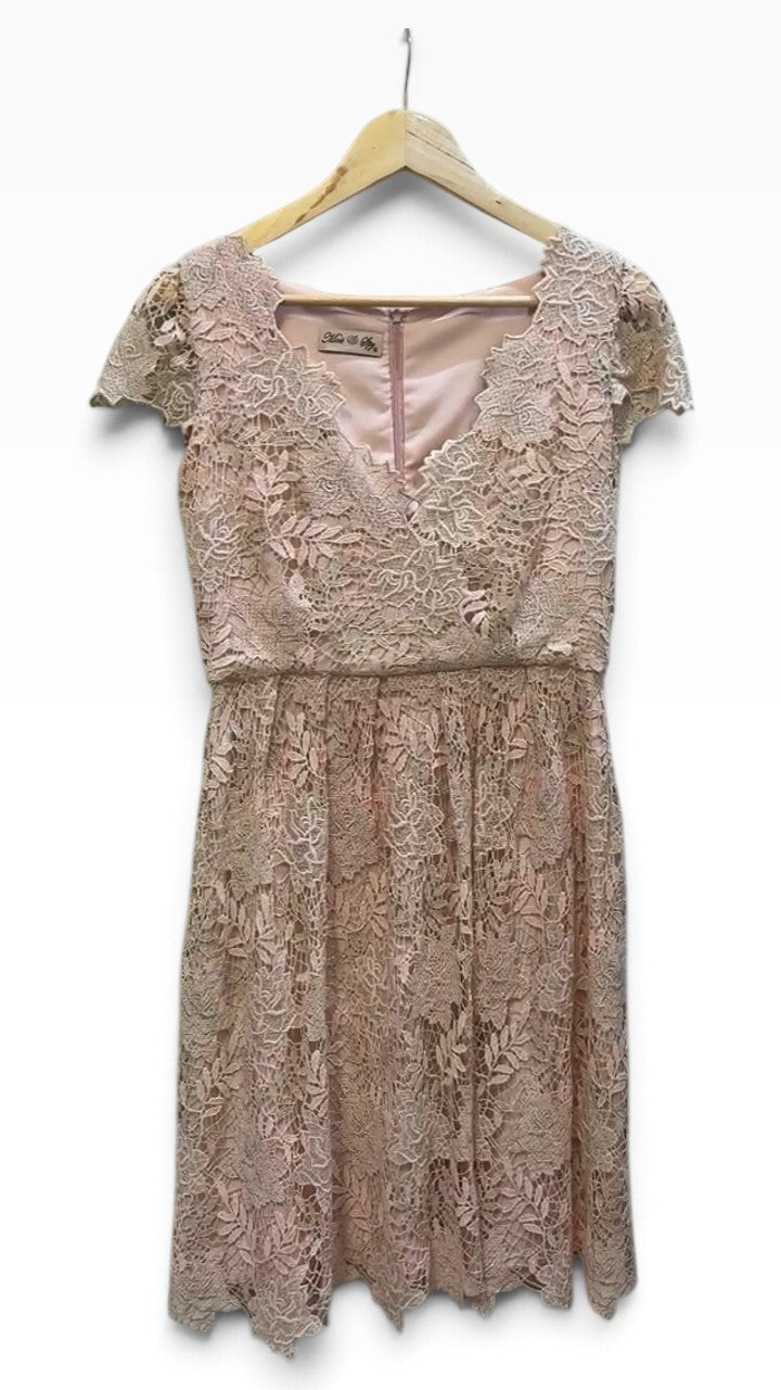 Moss & Spy Pink Lace Dress 10 – preloved at STYLE/colab (photo 1 of 3)