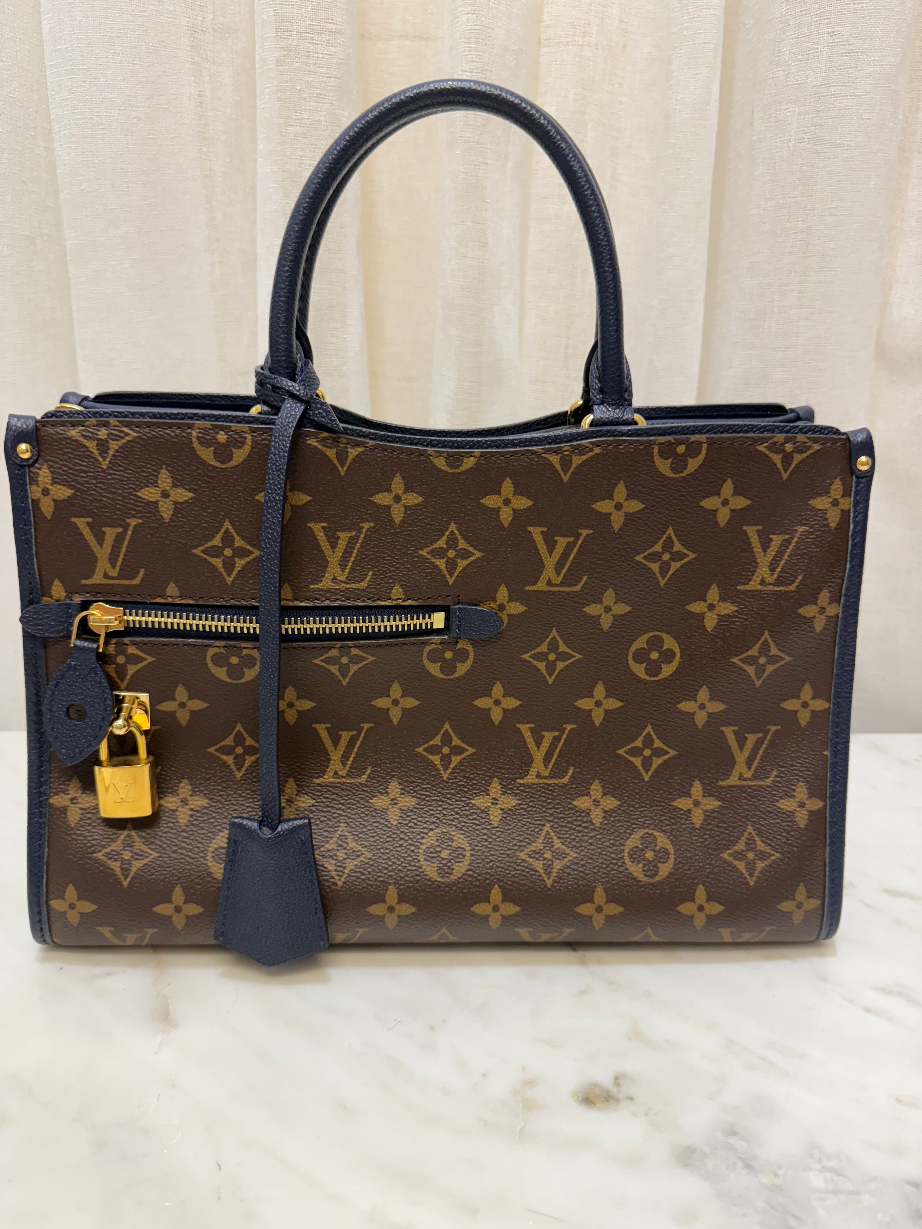 Louis Vuitton Navy/Brown Bag