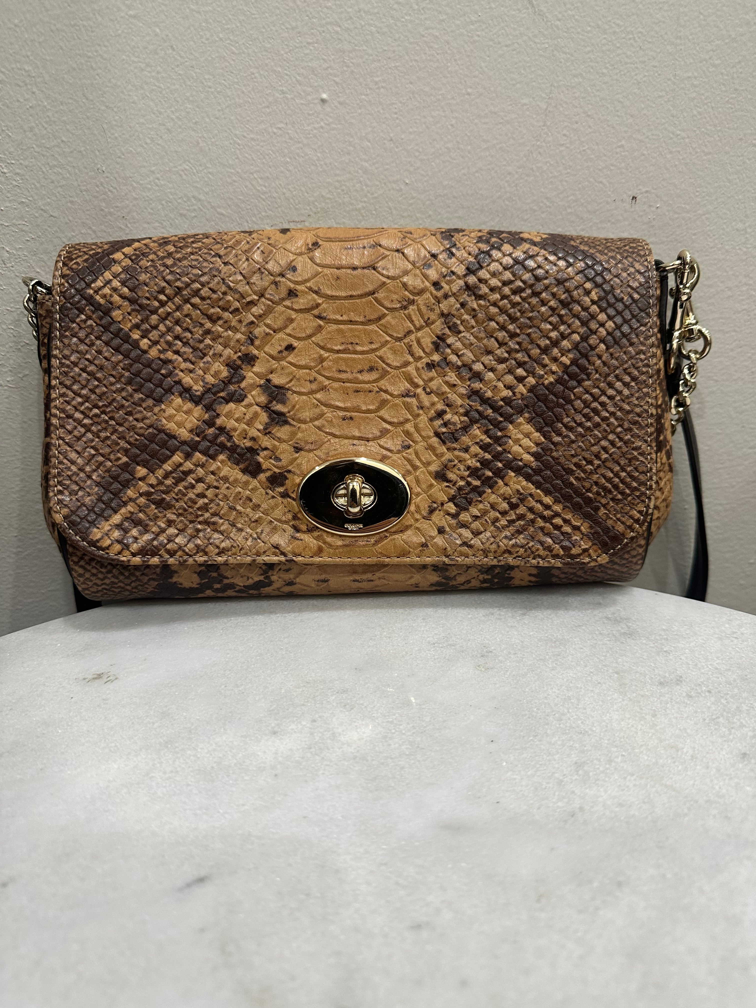 Coach Brown Bag