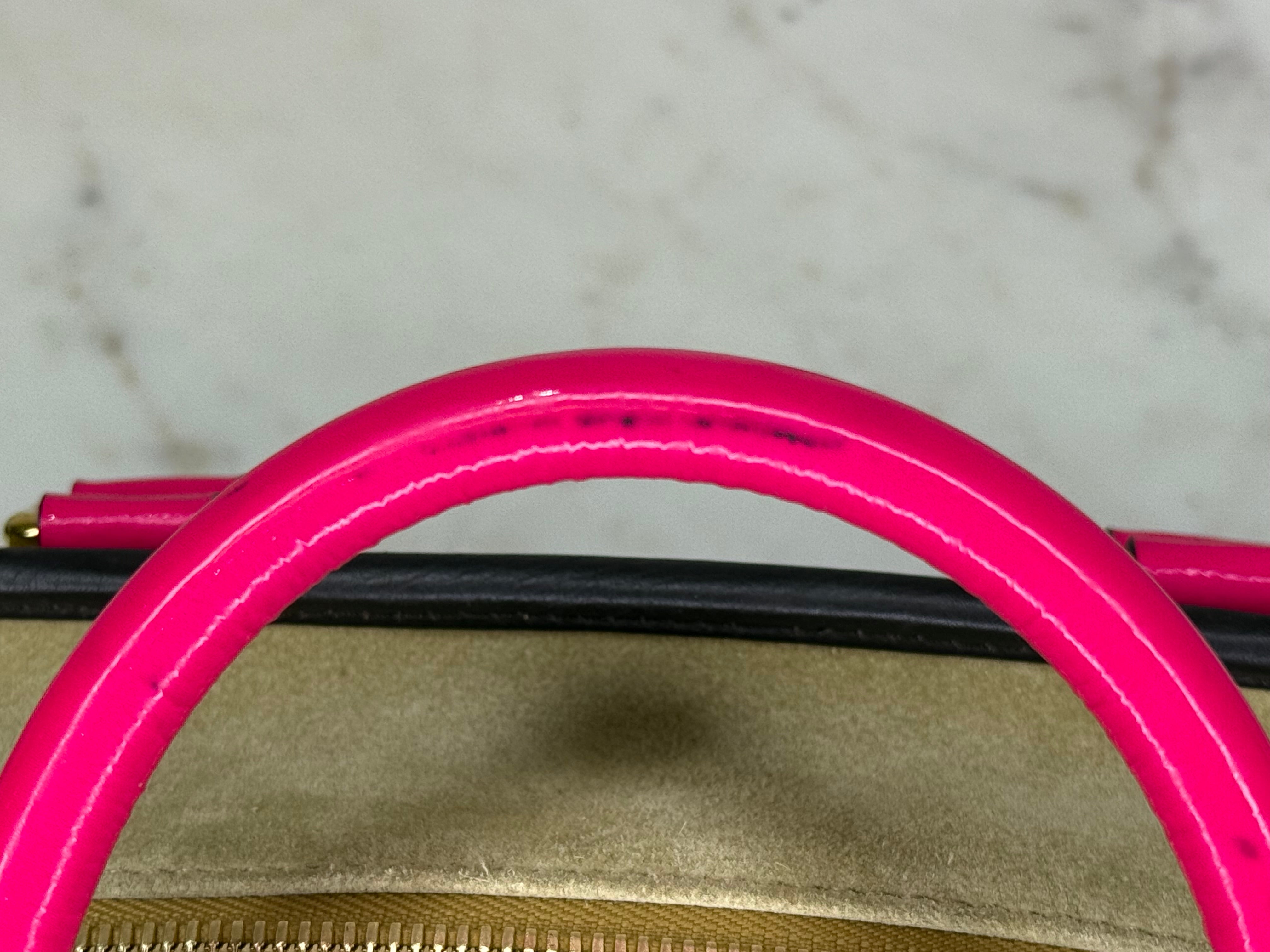 Loewe Neutral Amazona Bag