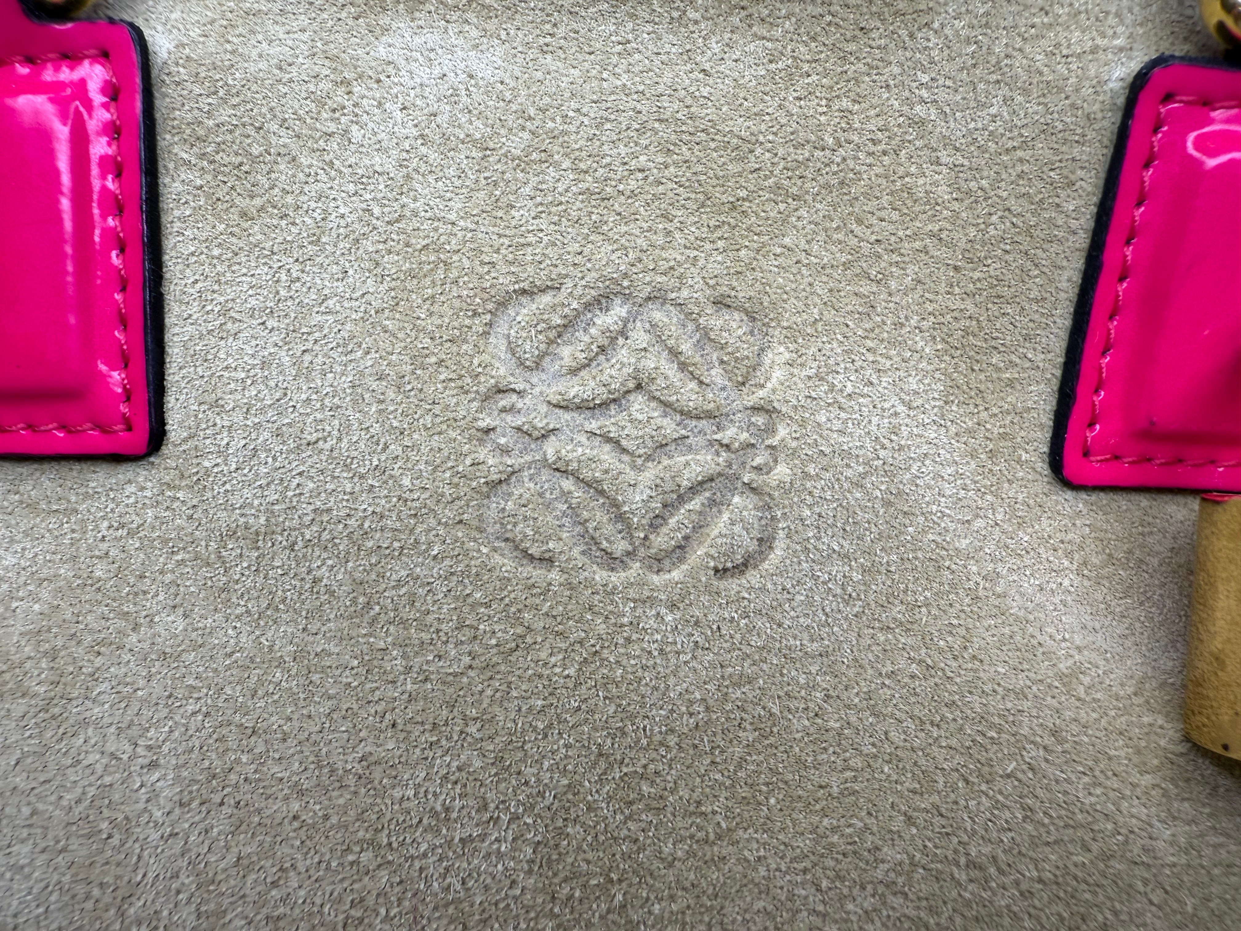 Loewe Neutral Amazona Bag