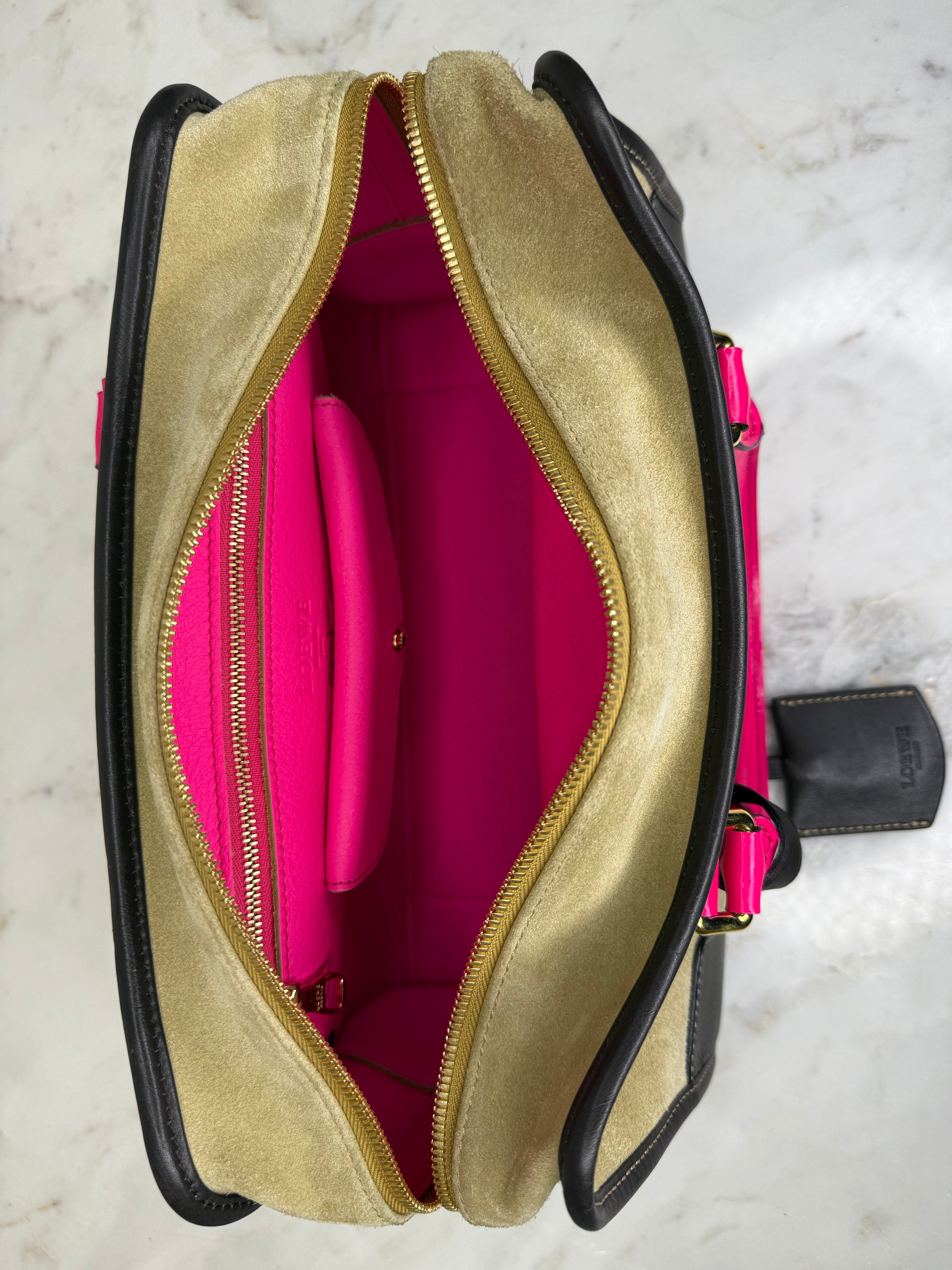 Loewe Neutral Amazona Bag